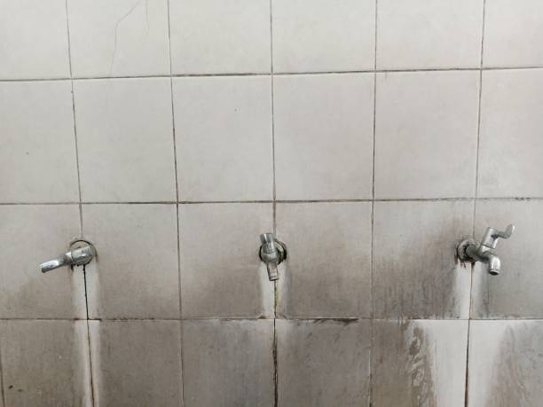 Best Water damage contractors near me  in Richland, MO