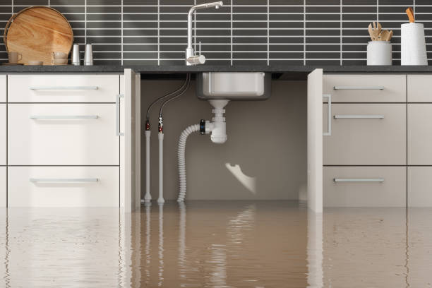 Best Water damage contractors near me  in Richland, MO